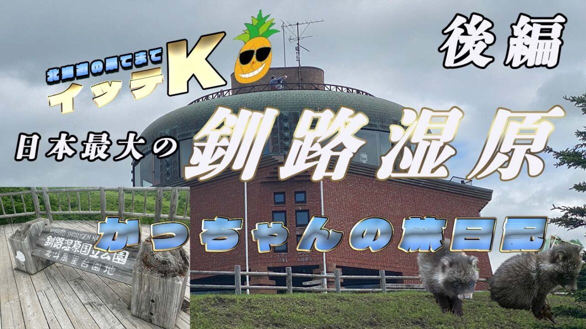 【#ひとり旅 】北海道の果てまでイッテK 釧路湿原展望台【後編】 【#ひとり旅 】北海道の果てまでイッテK 釧路湿原展望台【後編】