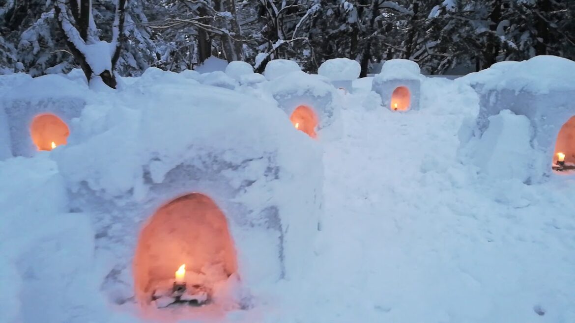 【弘前城雪燈籠まつり2020】6 | JAPAN ATTRACTIONS令和2年武漢姉妹市日本弘前公園日本雪灯笼节祭2020