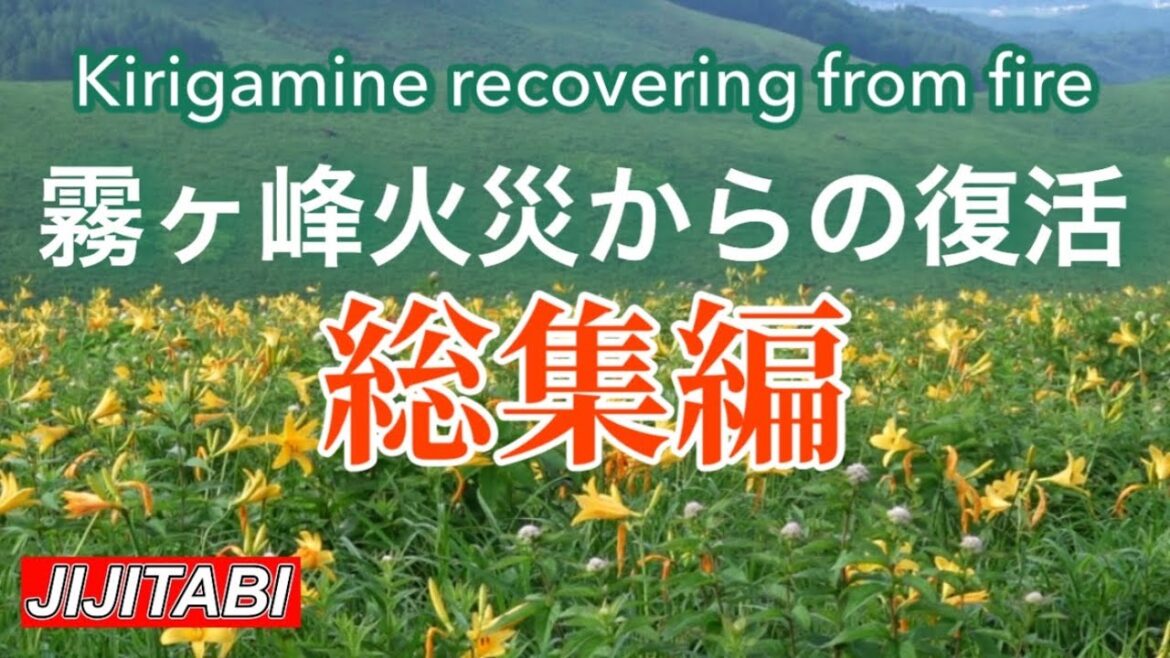 ビーナスライン霧ヶ峰火災からの復活総集編Japan Nagano Venus Line Resurrection Summary from Kirigamine Fire ビーナスライン霧ヶ峰火災からの復活総集編Japan Nagano Venus Line Resurrection Summary from Kirigamine Fire