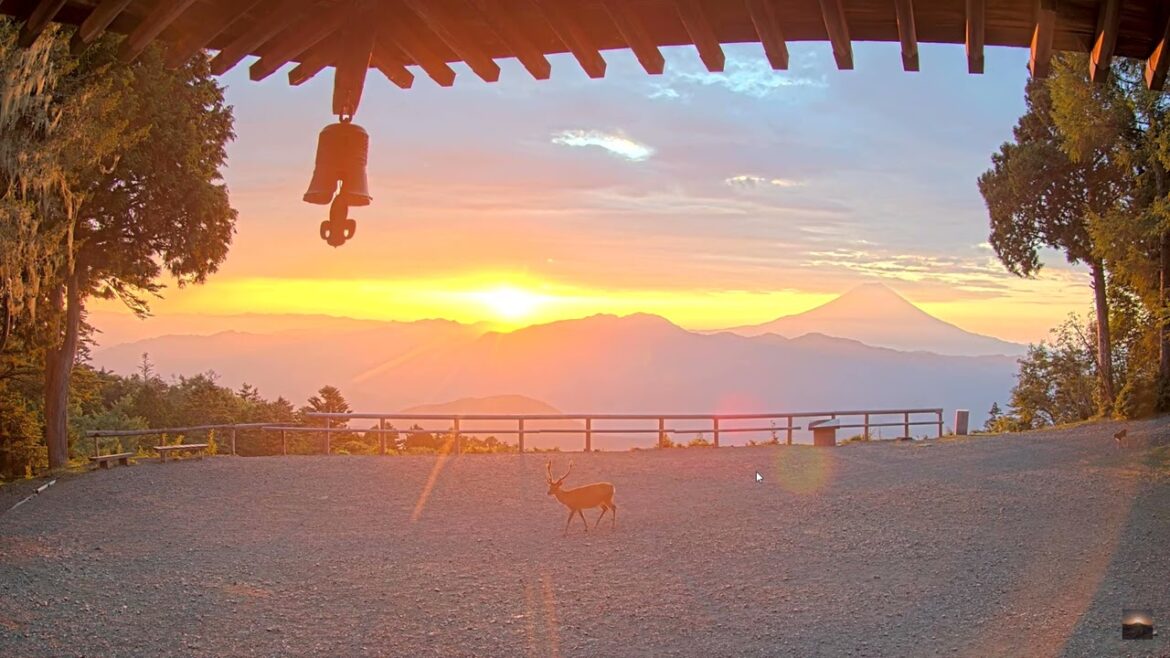 【4K】2023年7月26日 七面山（標高1,982m）から見た富士山とご来光映像