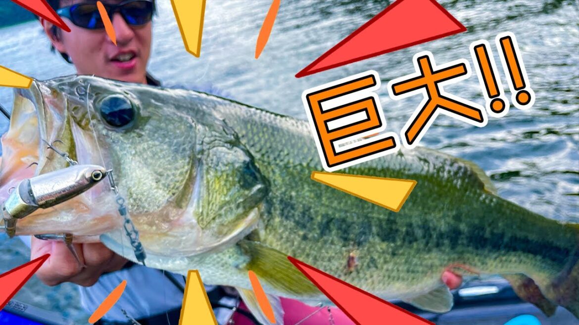 破紀錄？我試了試用日本職業比賽中的釣法，上來的傢伙都太大了！！