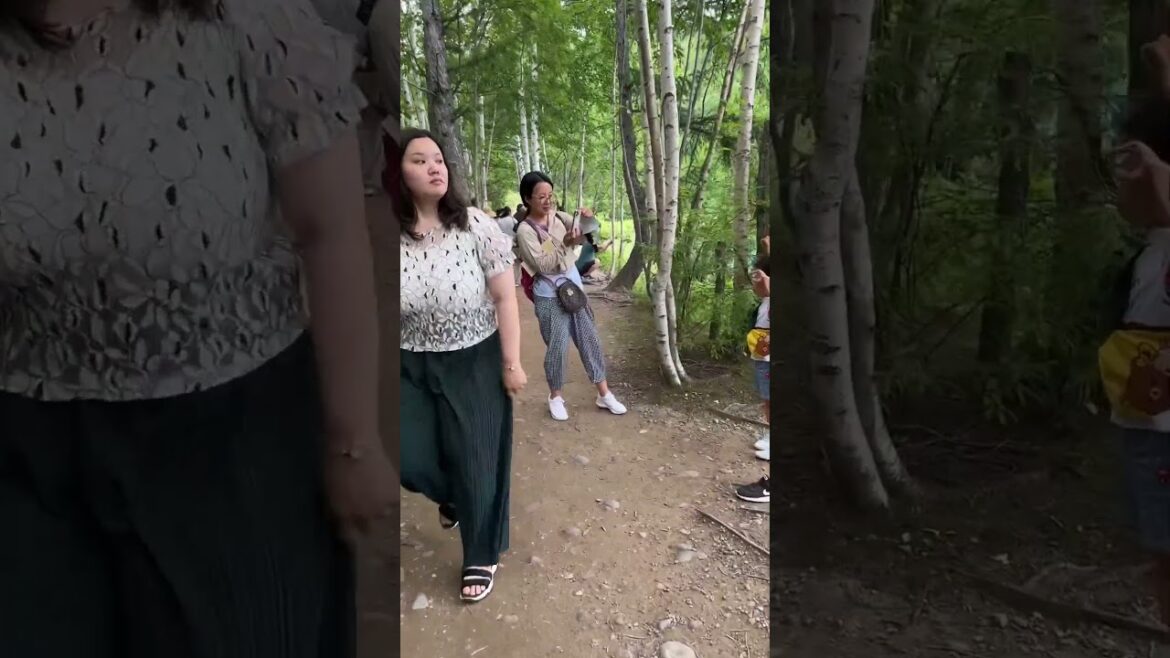 Shirogane Blue Pond Walk (crowded!) #walkingtour #japanwalkingtour #japanwalk #青い池 Shirogane Blue Pond Walk (crowded!) #walkingtour #japanwalkingtour #japanwalk #青い池