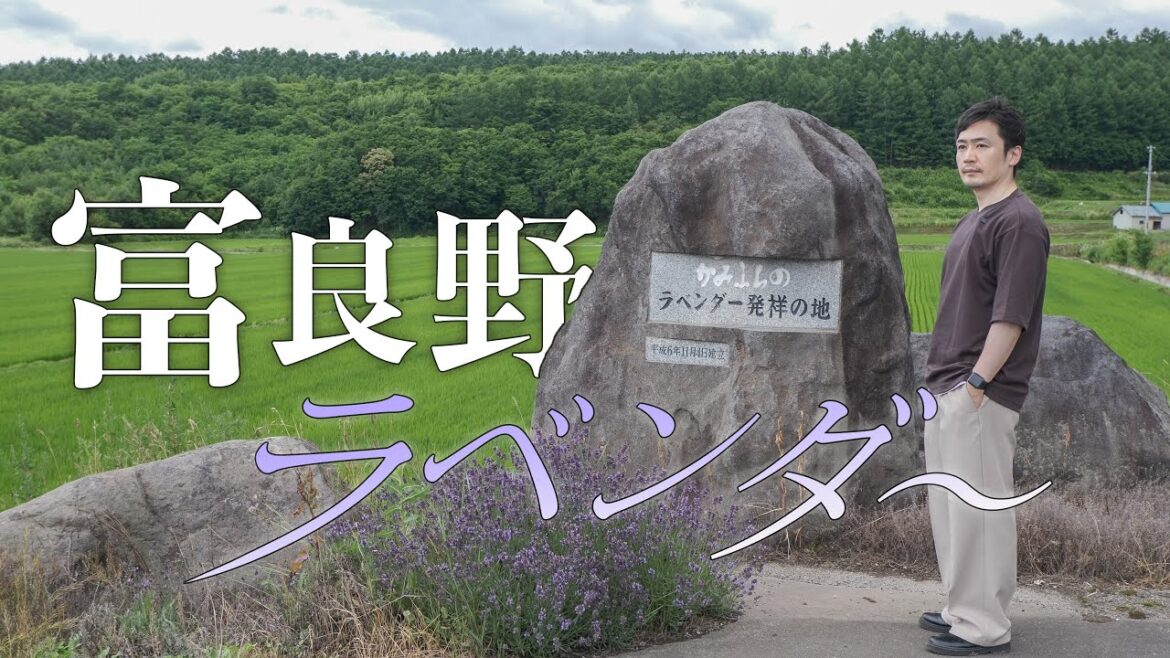 富良野のラベンダーを色々な乗り物に乗って愛でる旅｜北海道独りドライブ