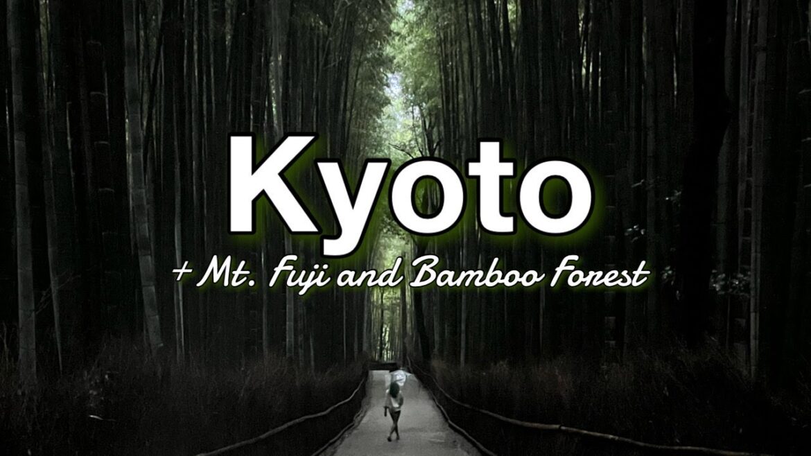 Japan Vlog: Exploring Kyoto, Mt. Fuji, Arashiyama Bamboo Forest, Lake Kawaguchi + What I eat
