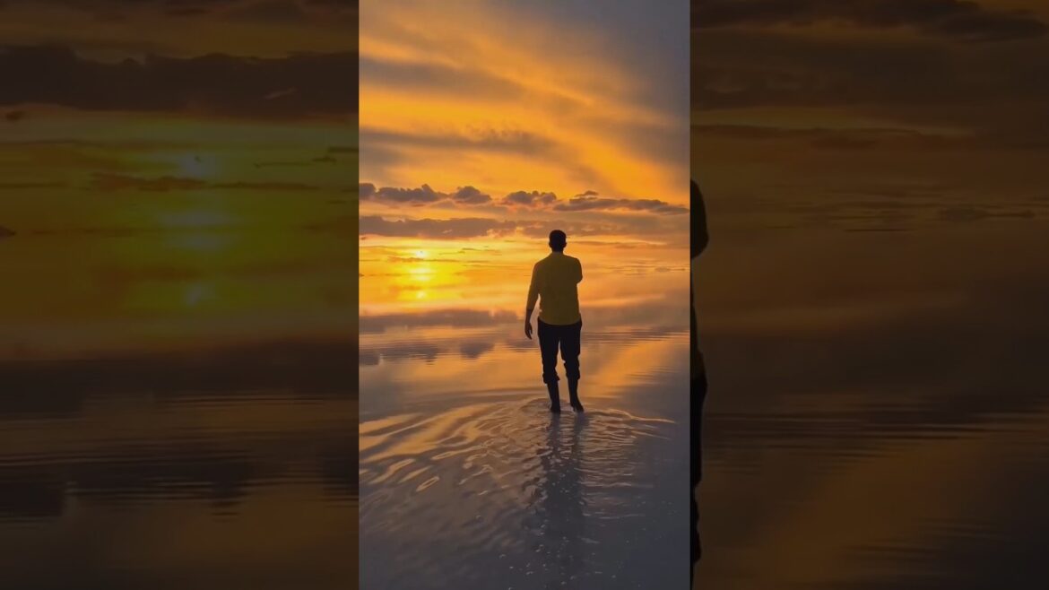 Last place will shock you 😲✨🥂🌴🌊🧳#nature  #travel #explore #adventure #vacation #beautifulplaces