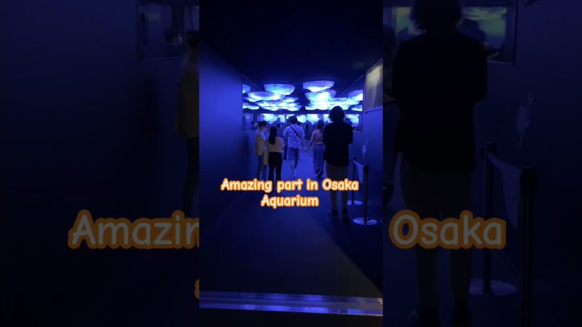 Most Amazing part of Osaka Aquarium #travel #viralvideos #youtubeshorts