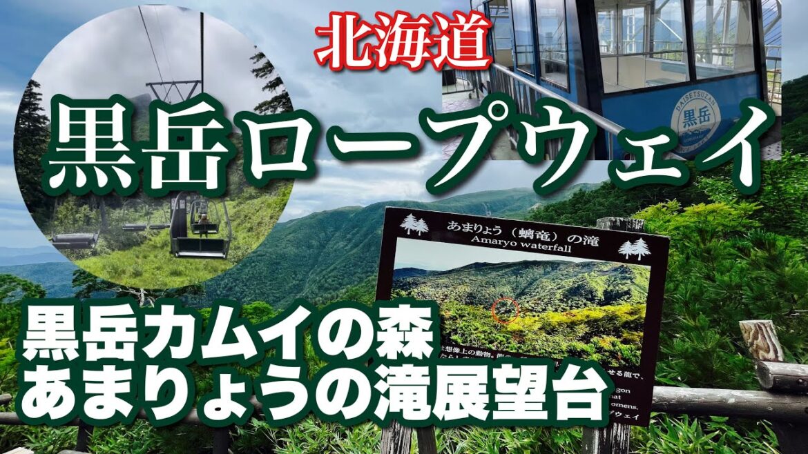 【黒岳 100周年記念】2023 黒岳カムイの森の道とあまりょうの滝展望台をトレッキング！