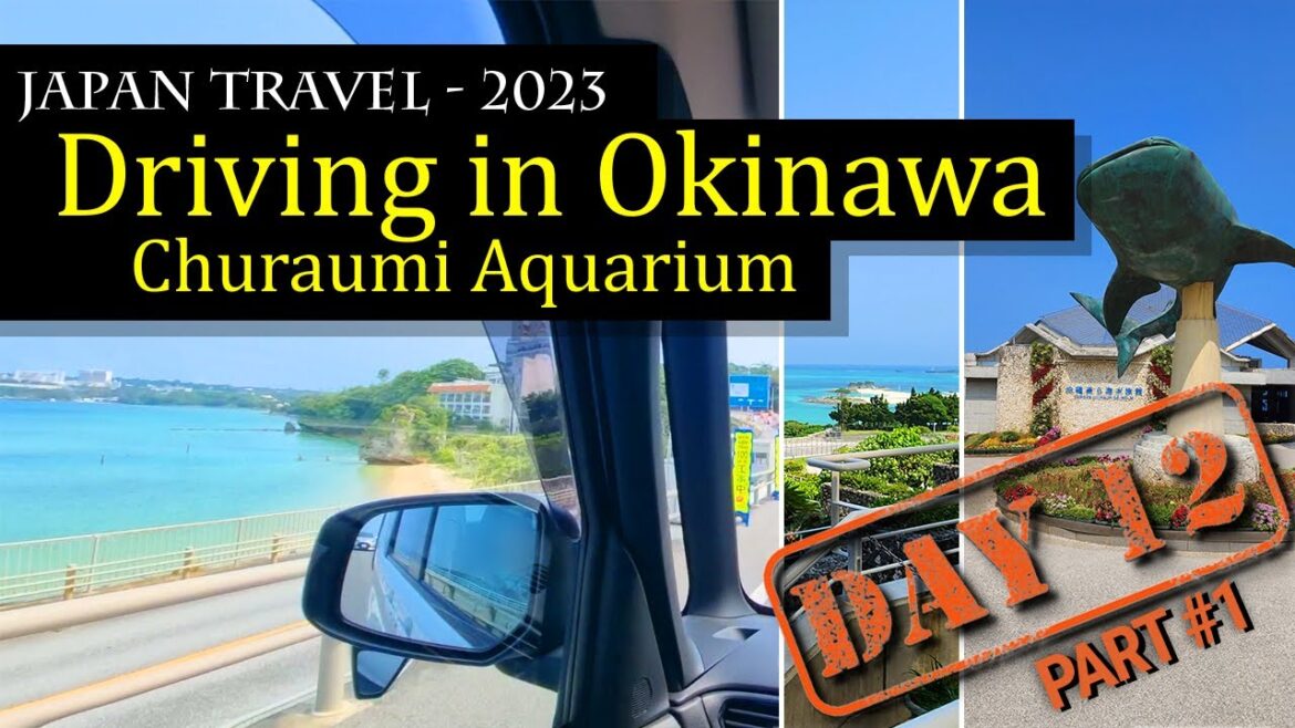 Scenic Drive 🚙🌴 to Churaumi Aquarium 🐋🦈 | Exploring Okinawa's Coastline & Marine Wonders!