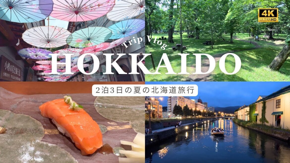 【旅行Vlog/4K】2泊3日夏の北海道旅行|小樽/洞爺湖/支笏湖/緑の風リゾートきたゆざわ/OMO5小樽by星野リゾートetc 【旅行Vlog/4K】2泊3日夏の北海道旅行|小樽/洞爺湖/支笏湖/緑の風リゾートきたゆざわ/OMO5小樽by星野リゾートetc