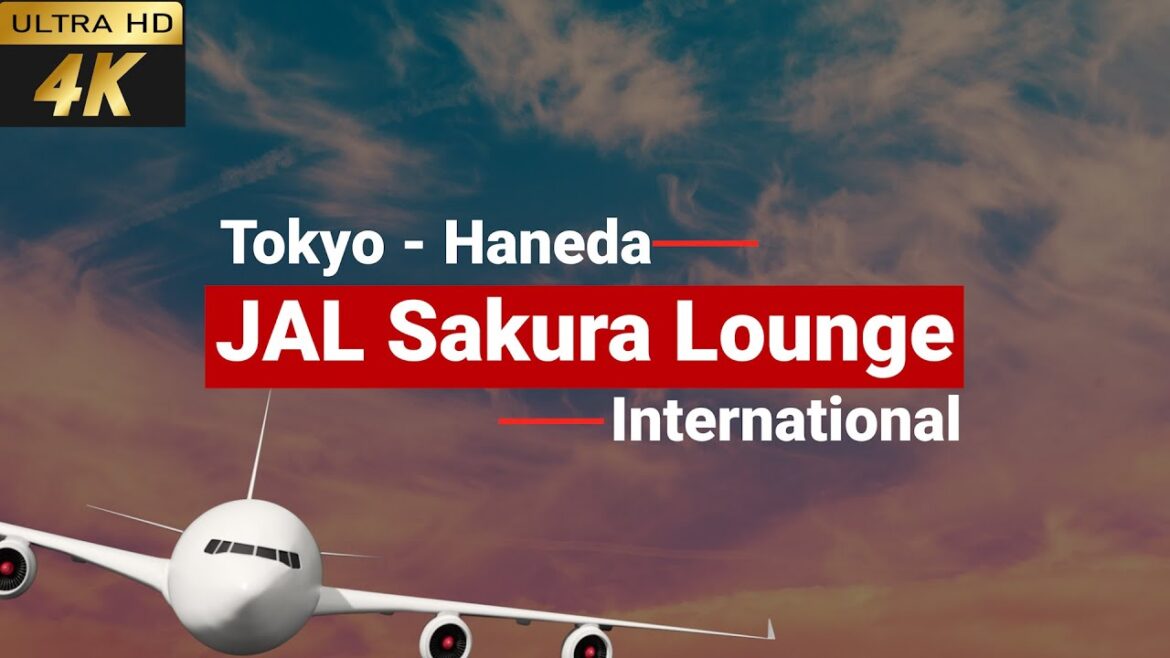 [4k] Japan Airlines Sakura Lounge Haneda Tokyo Airport 2023 | Japan airline Business Lounge