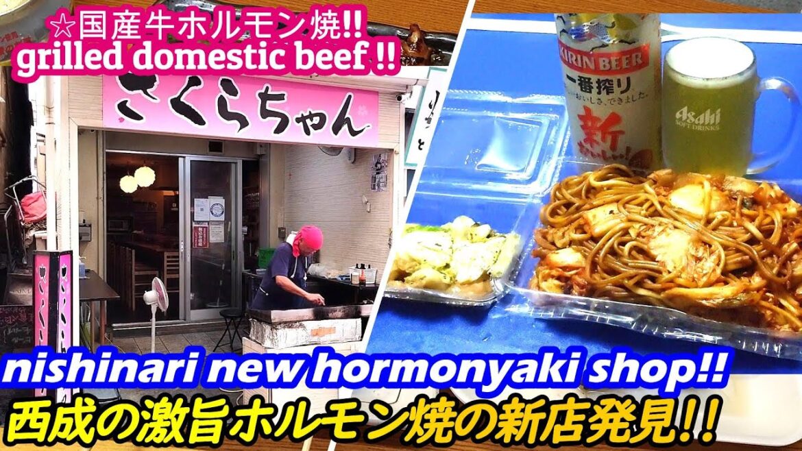 【西成ホルモン焼の新店が美味すぎた!!】ホルモン焼ぷう grilled hormone PUU japanese street food yakiniku 焼肉 せんべろ 【西成ホルモン焼の新店が美味すぎた!!】ホルモン焼ぷう grilled hormone PUU japanese street food yakiniku 焼肉 せんべろ