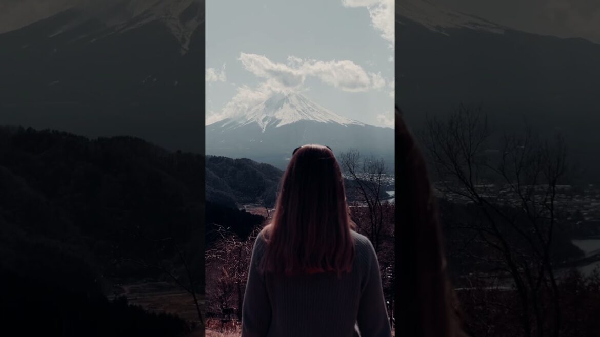 Mt. Fuji experience Mt. Fuji experience