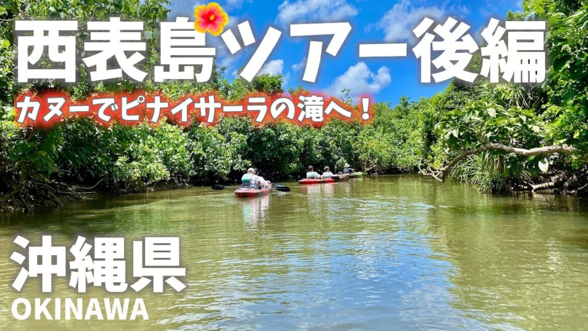 沖縄県西表島ツアー後編！カヌーでピナイサーラの滝へ！Okinawa Prefecture Iriomote Island Tour Part 2! Canoe to Pinaisara Falls!