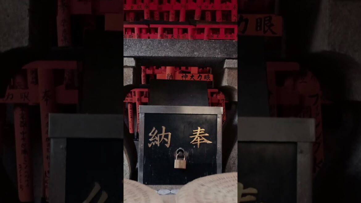 Orange heaven in Kyoto Orange heaven in Kyoto