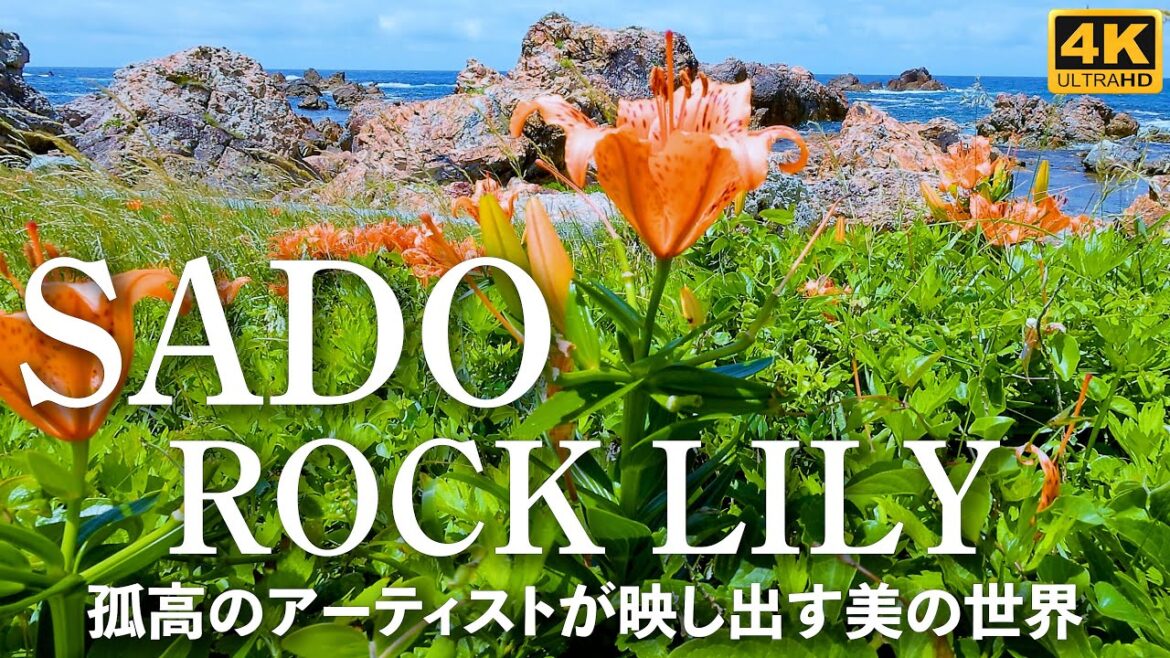 4K映像【佐渡 岩ゆり咲く海】孤高のアーティストが映し出す美の世界 Japan Sado Island Rock Lily 日本の絶景と癒しのBGM リラックス 音楽 旅行 観光 4K映像【佐渡 岩ゆり咲く海】孤高のアーティストが映し出す美の世界 Japan Sado Island Rock Lily 日本の絶景と癒しのBGM リラックス 音楽 旅行 観光