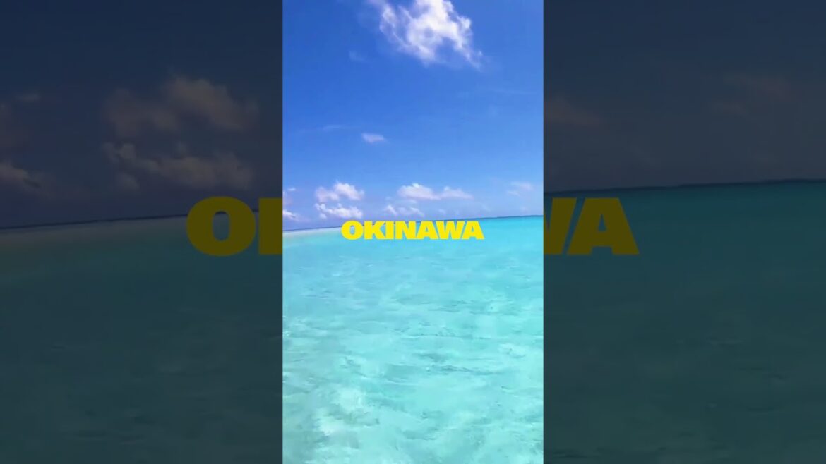 Okinawa Ocean: Discovering Japan's Aquatic Paradise #OkinawaOcean #AquaticParadise #JapanMarineLife