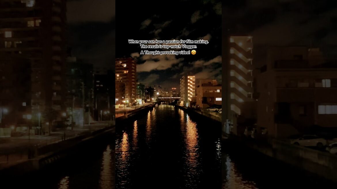 Otobashi bridge 🇯🇵 #explorejapan #kidtripadvisor #viral #kids #travelvlog #japanvlog #cityview