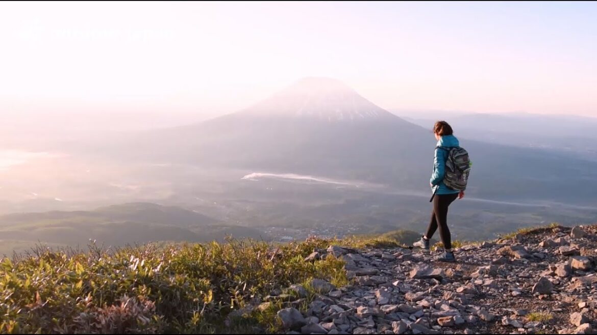 Niseko Untapped Niseko Untapped