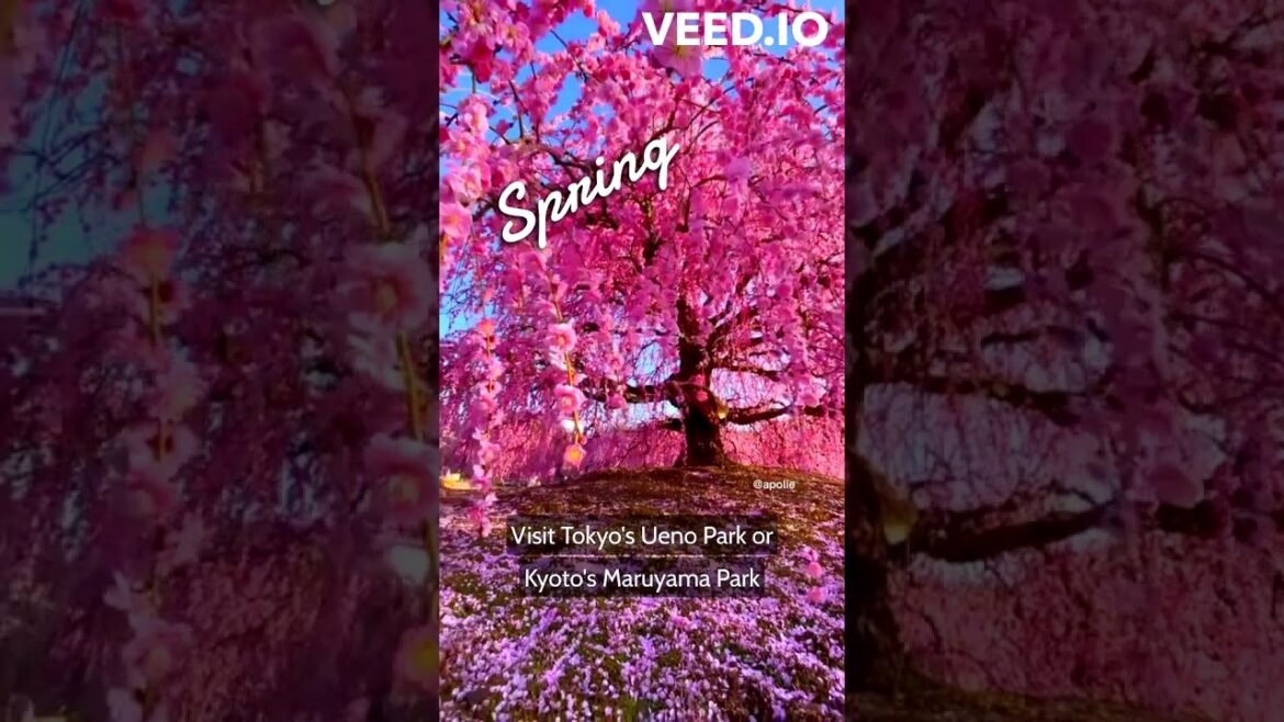 Japan Travel Tips for Every Season! #shorts #japantravel #japantravelguide