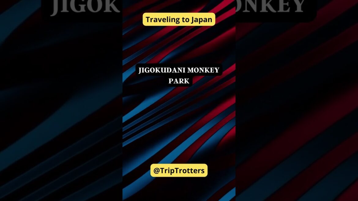 What is the famous snow monkey onsen in Nagano