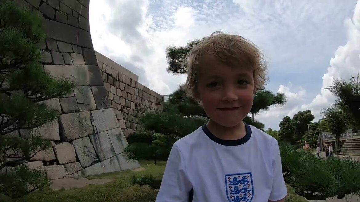 Japan Osaka Trip   Castle