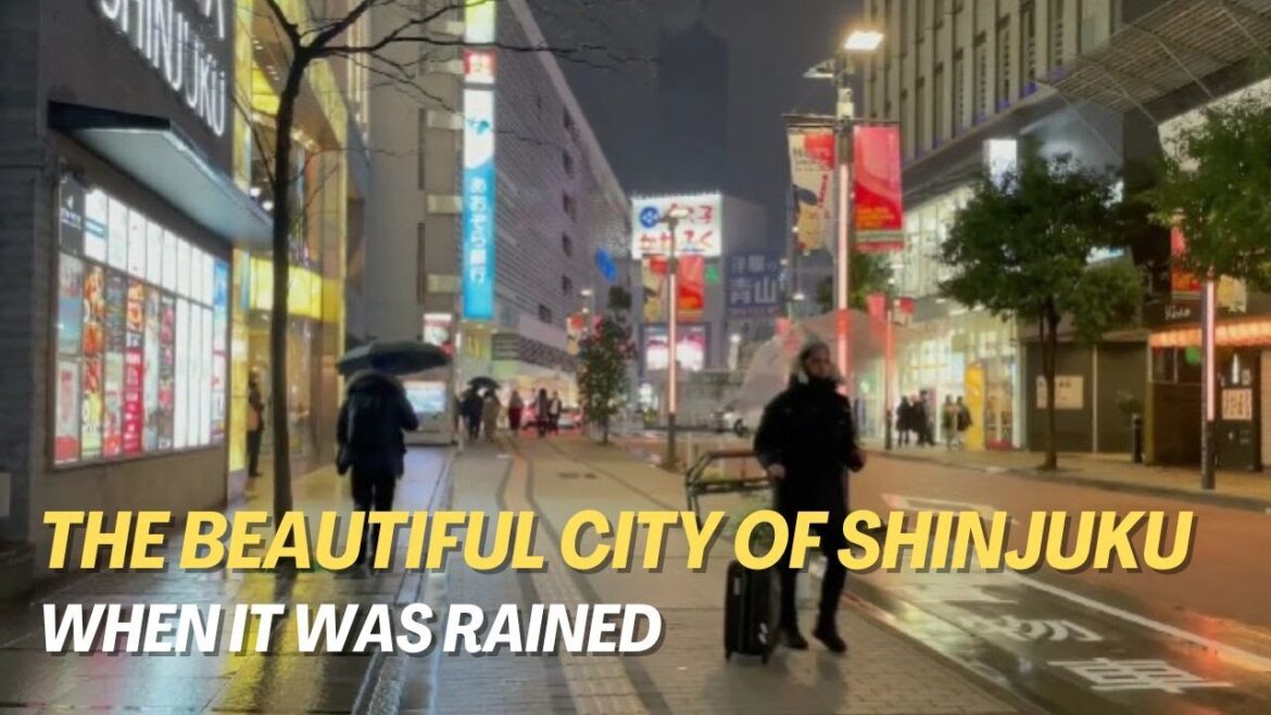 Shinjuku Walking Tour - Great Night Rain Tokyo Japan