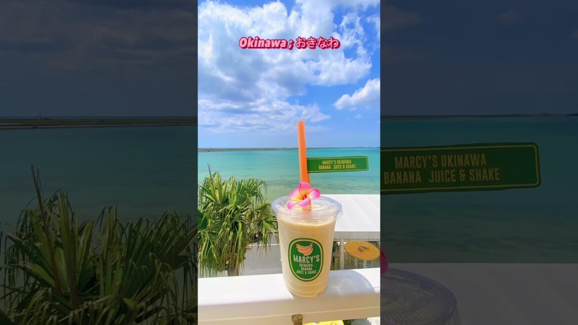 Okinawa-おきなわ #쇼츠 #오키나와 #일본여행