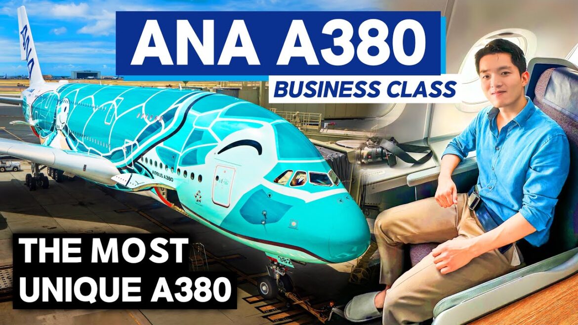 World's Most UNIQUE A380 - ANA 'FLYING HONU' Business Class