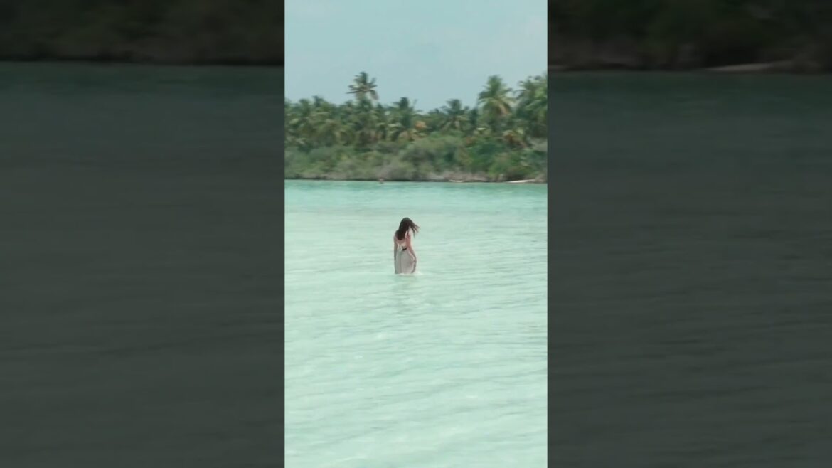 From the clouds to sandy dreams! ✈️ #shorts #vacation #travel