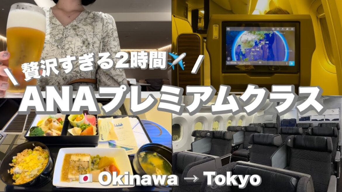 〔vlog〕ANAプレミアムクラスに乗ってみた | 沖縄✈︎東京 | 贅沢すぎる2時間🥂 | スターウォーズジェット💫