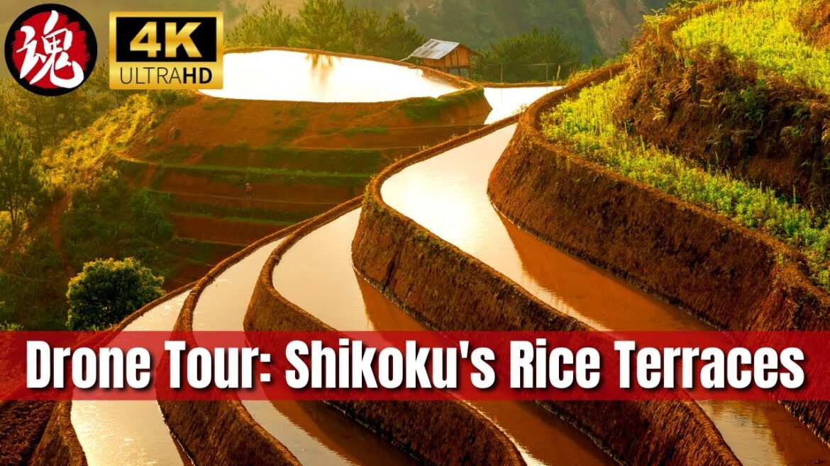 Captivating Drone Tour: Shikoku Rice Terraces | The Unseen Beauty of Ehime Captivating Drone Tour: Shikoku Rice Terraces | The Unseen Beauty of Ehime