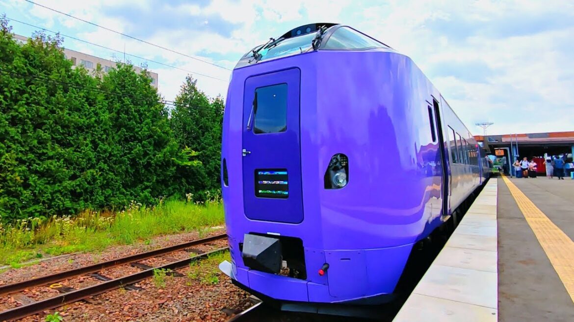 Riding Japan's Summer Limited Express Train in Hokkaido | Furano Lavender Express