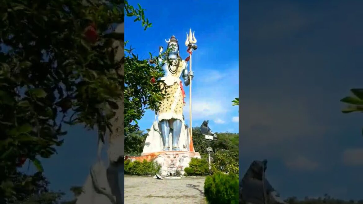 महादेव अब बस आपकी कृपा है 🙏 #youtubeshorts #shorts