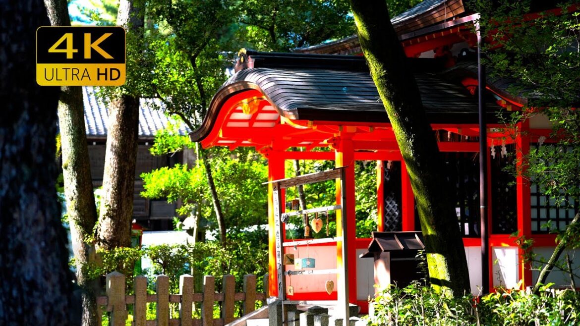 [Kyoto Walk 2023] Japanese festival food stalls and shrine | Yasaka Shrine [4K]
