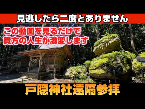 【戸隠神社】必見!見るだけで貴方の人生がより良い方向に激変します✨ 【戸隠神社】必見!見るだけで貴方の人生がより良い方向に激変します✨