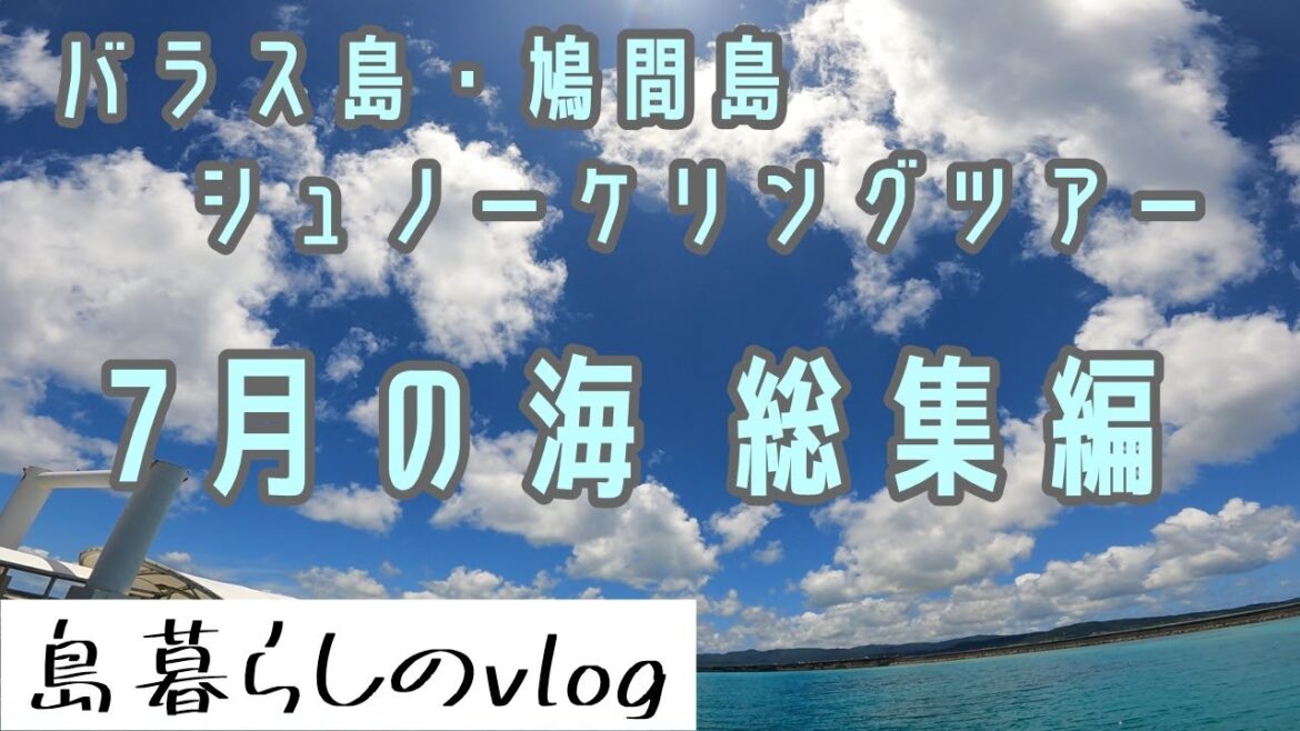 西表島バラス島・鳩間島シュノーケリングツアー/7月総集編/No.233 西表島バラス島・鳩間島シュノーケリングツアー/7月総集編/No.233