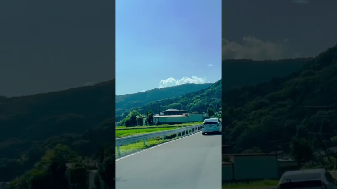 Shimozato, Ogawa,Saitama @Travelwithshion  #japan #japantravel #shortvideo #shortsvideo #shorts