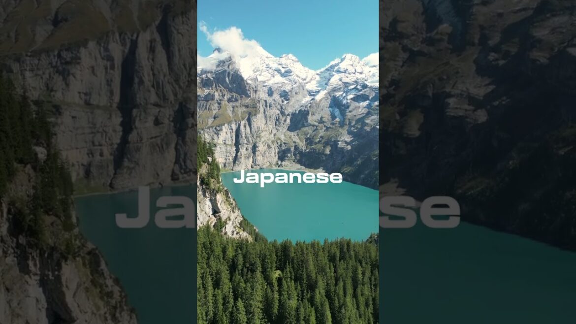 Discovery Mount Fuji