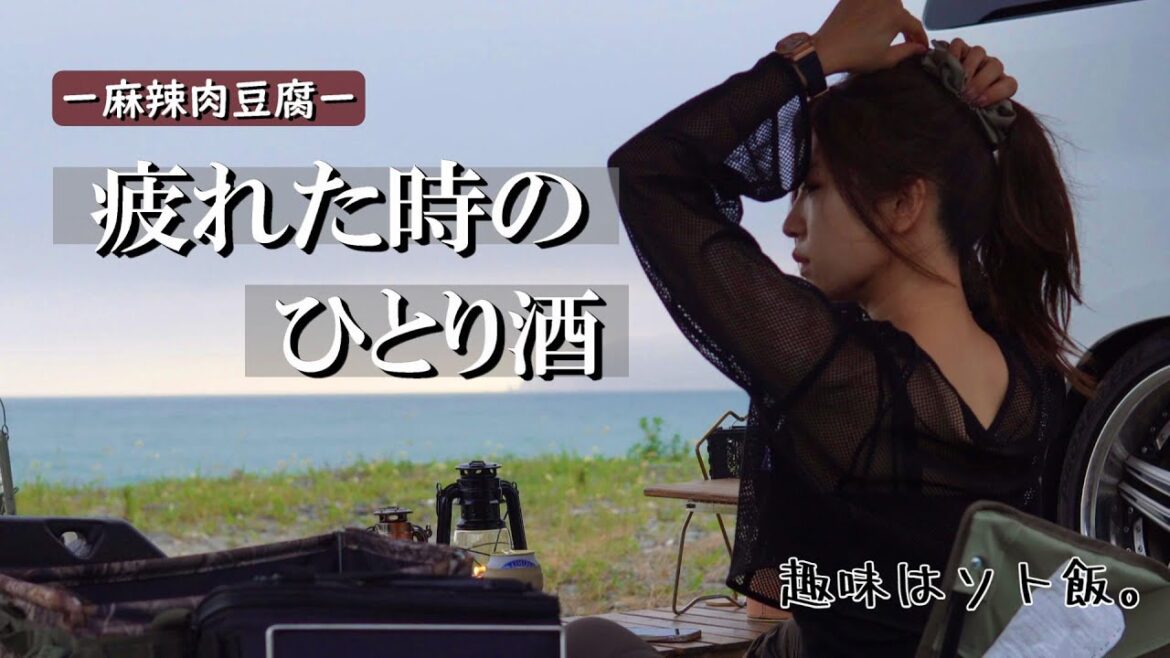 暑さも疲労も限界 【 車中泊 キャンプ 】たまった女のひとり旅