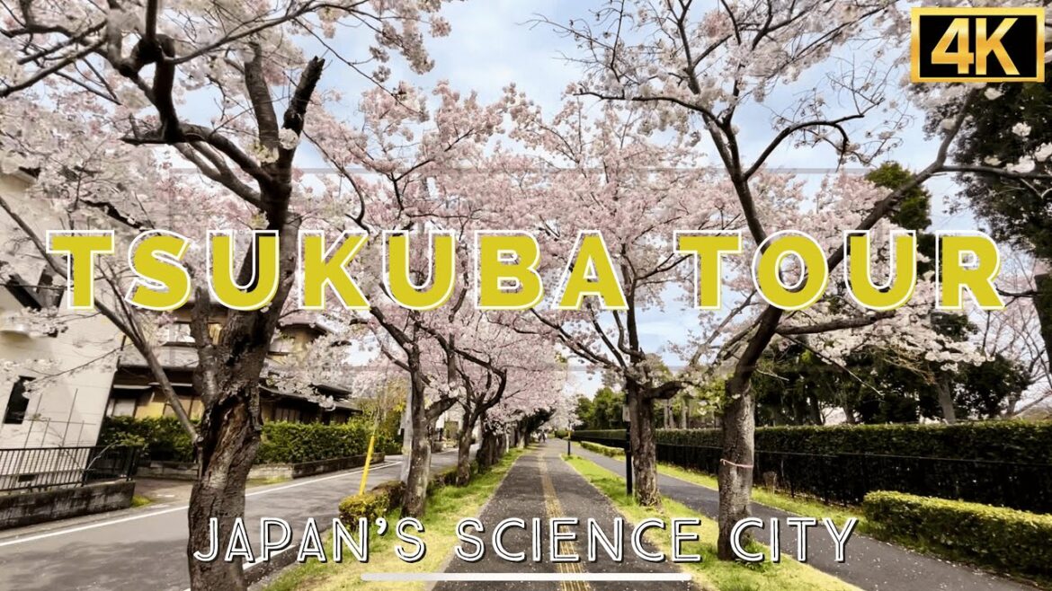 4K TSUKUBA : JAPAN'S SCIENCE CITY TOUR 2023 | つくばシティツアー | CHERRY BLOSSOM | TSUKUBA IBARAKI | VLOG 46