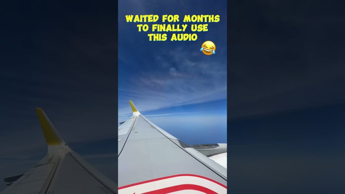 Is this your inflight entertainment?  #travel #asiantravel #japantravel #airport