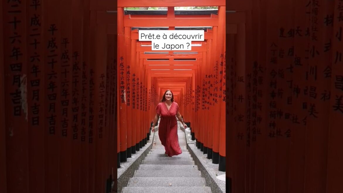 Japon: LA destination en 2023 ?