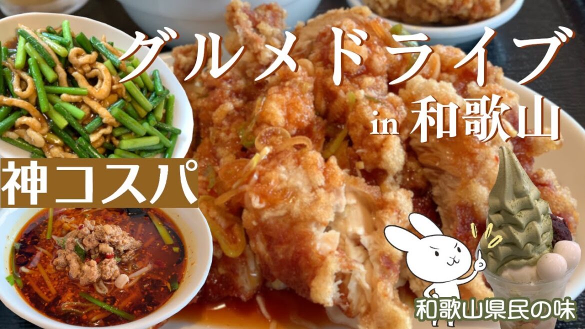 【和歌山グルメドライブ】神コスパ！台湾美食”裕福” | お茶屋さんの抹茶ソフト・玉林園グリーンコーナー【vlog】