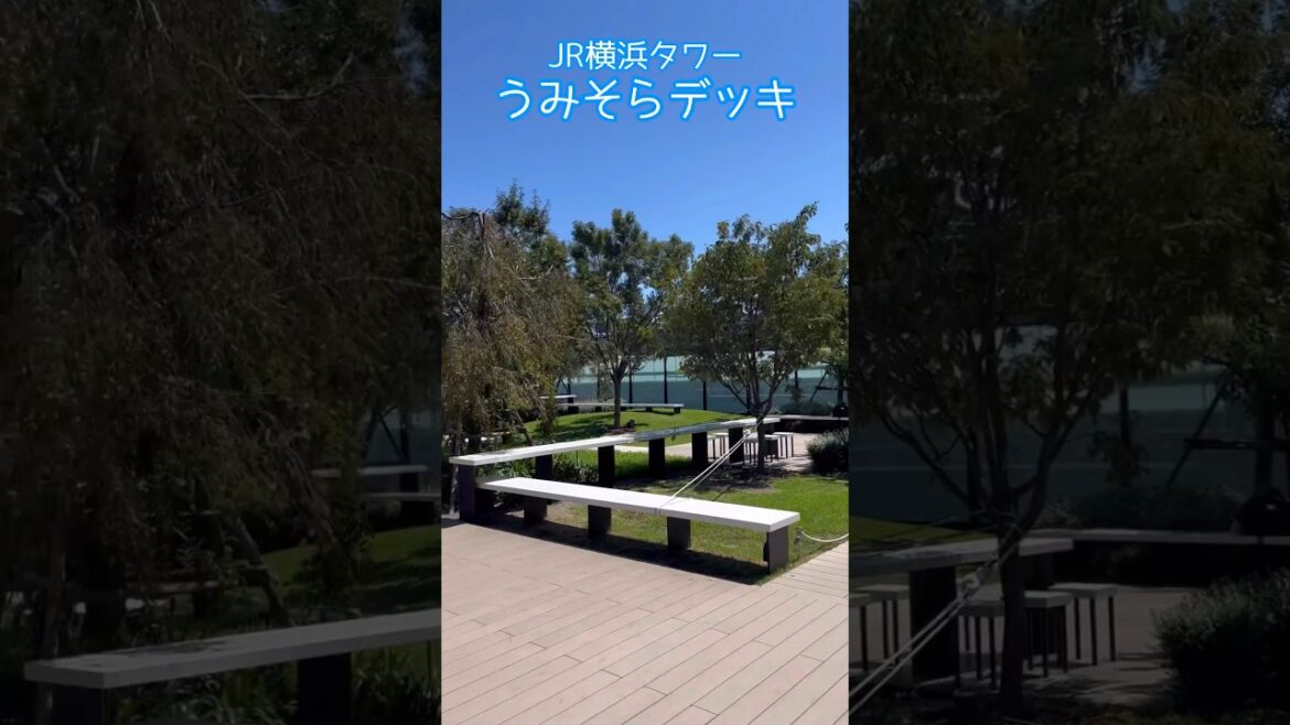 JR横浜タワー『うみそらデッキ』は、横浜港や横浜ベイブリッジを一望できる屋上広場で、潮風を感じながら緑に囲まれる憩いの場 / Yokohama Trip