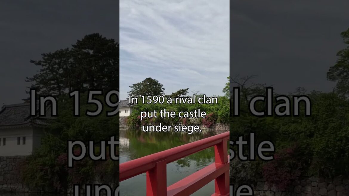 Odawara Castle is the closest to Tokyo