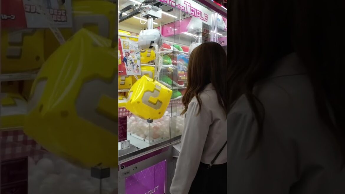 Last Night in Sapporo Last Night in Sapporo