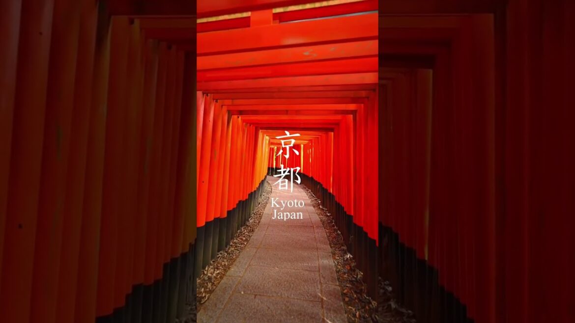 This are #beautiful #kyoto  #sightseeing  you need to see