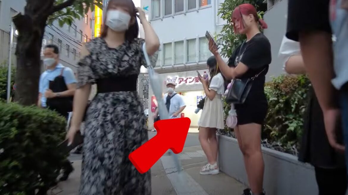 Walking Street Shinjuku Tokyo Japan  August 2023 新宿夜散歩 |【4K】