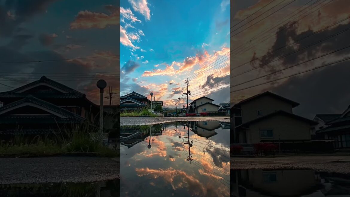 A reflection photo of the world view like a sparrow closing the door. #short #travel #japan #shorts