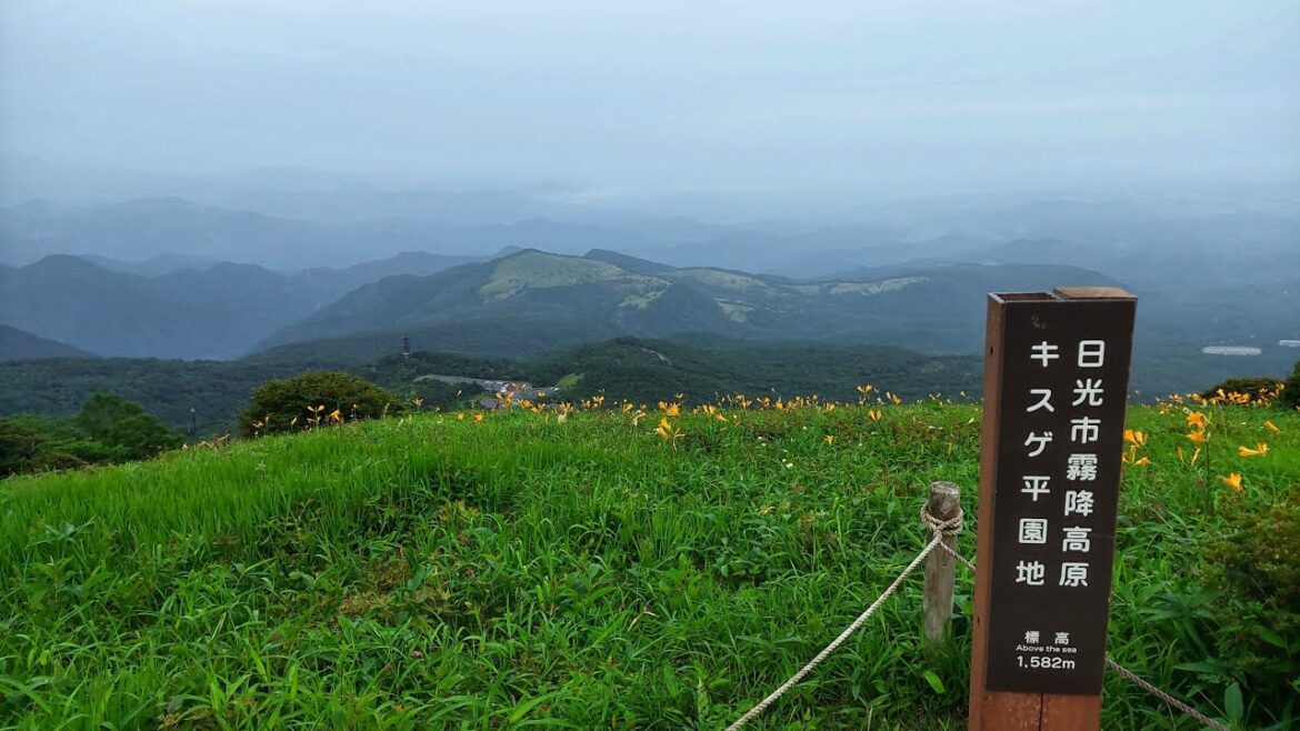 4 Trains, 11Km Road Walk, & 1445 Steps For This View